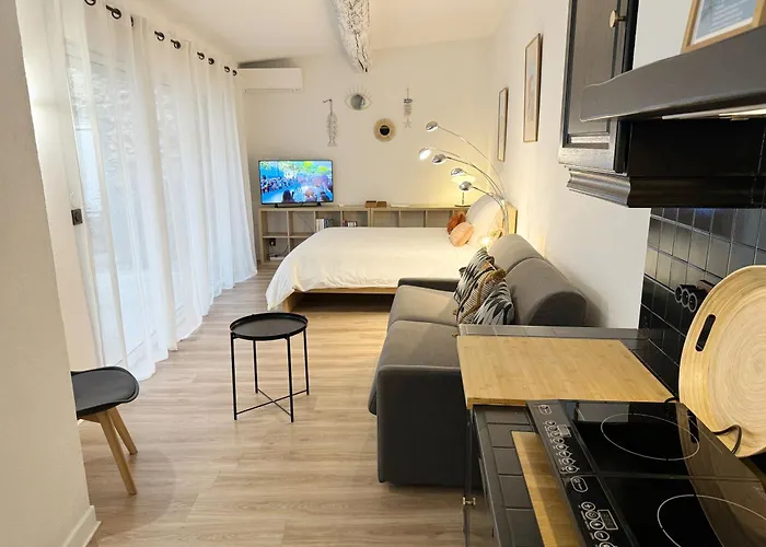 Lejlighed Climatise A 200m De La Mèze