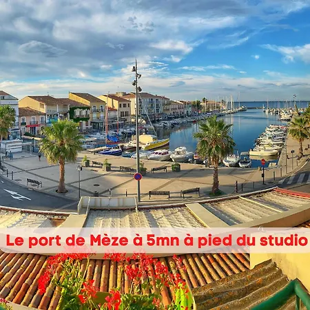 Nid Douillet Climatise A 200m De La Apartment *