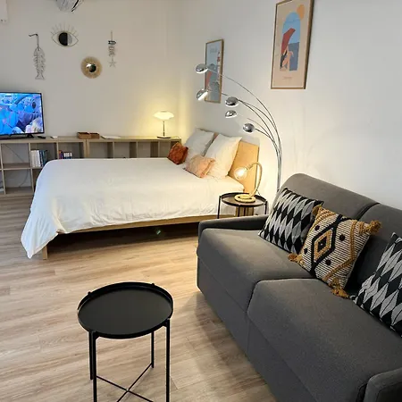 Climatise A 200m De La Apartament *